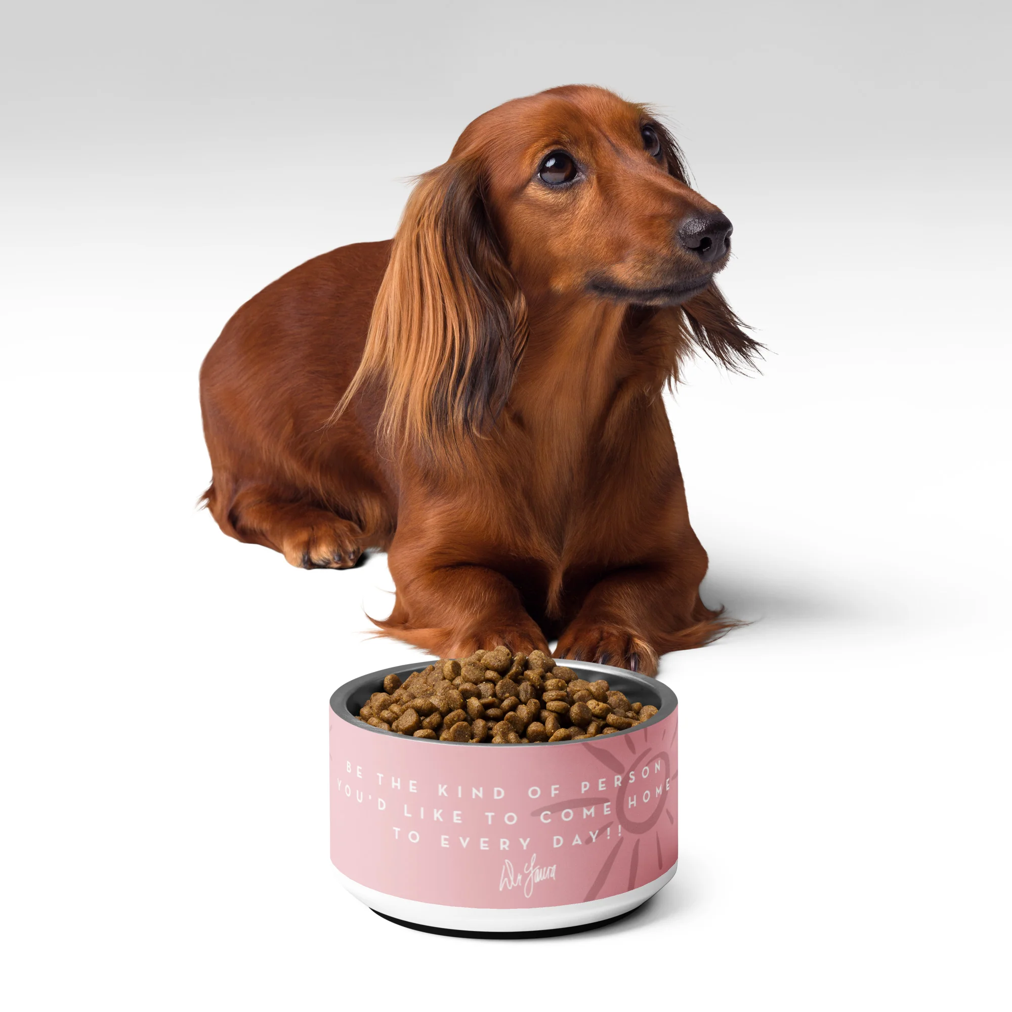 Dr. Laura: Everyday Pet Bowl - Image 7